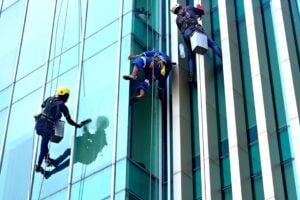 professional window cleaners near me