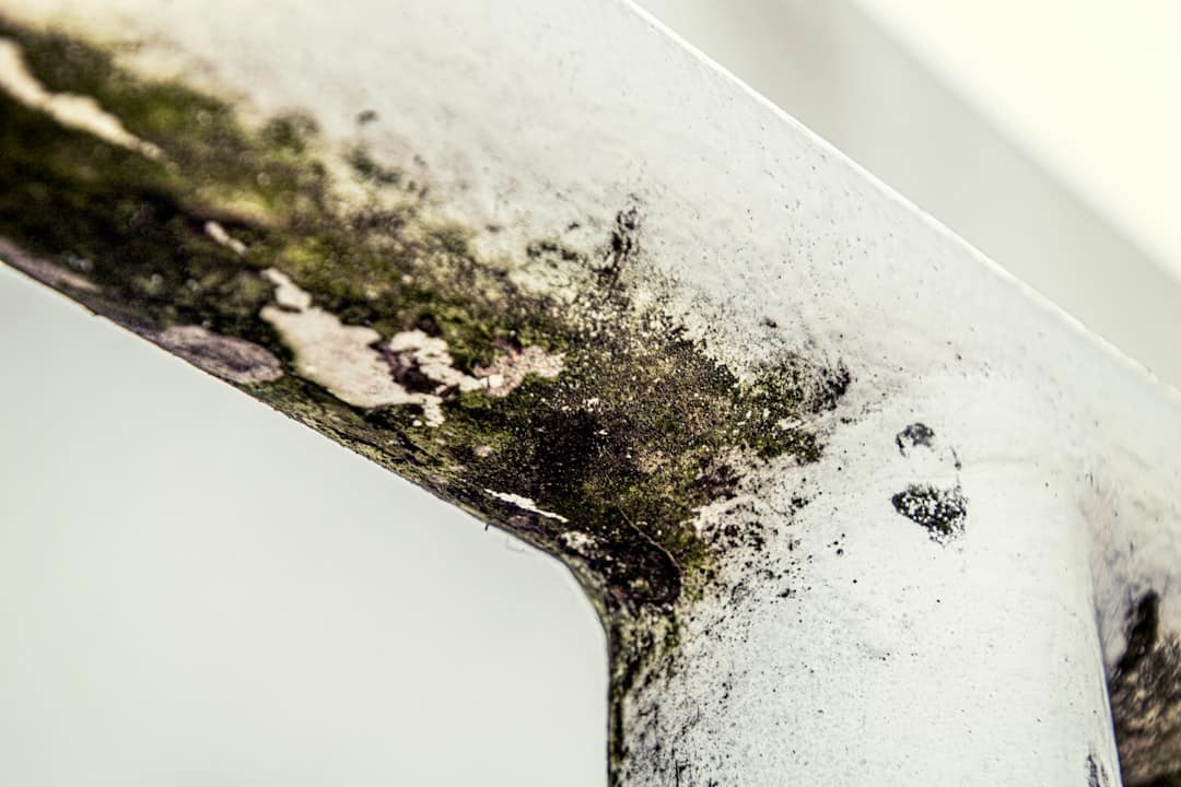 shower caulk mold removal
